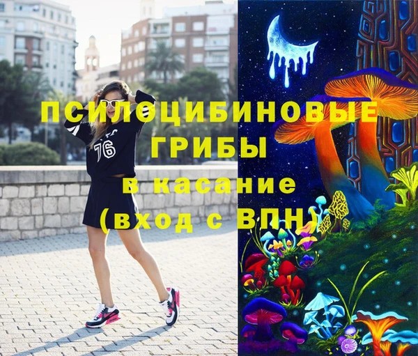 эйфоретик Алзамай