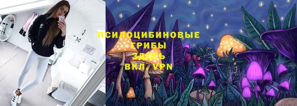 2c-b Алексеевка