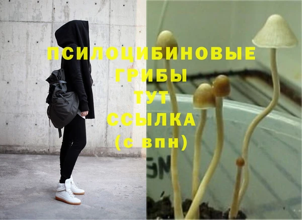 прущие крисы Абаза